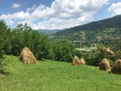 Valea Doftanei