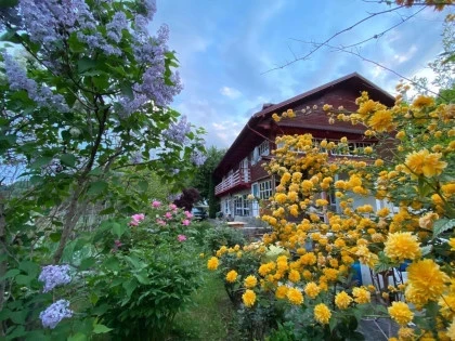 Pensiune story house exterior