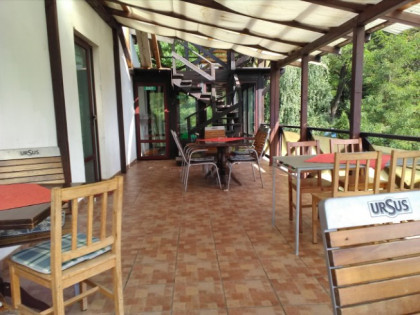 Terasa exterior Cabana Veverita